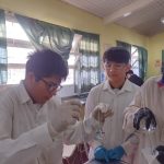 Lab_Cs_2