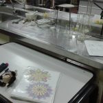 Lab_Thays (2)