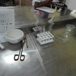 Lab_Thays (5)